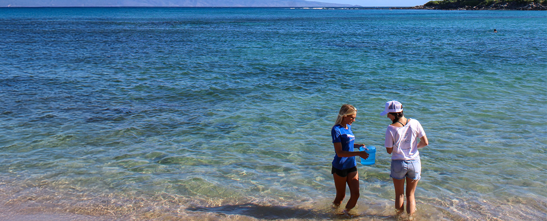 Collecting water samples on the beach