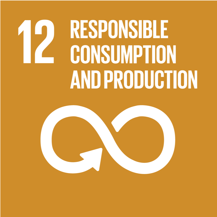 SDG Goal 12