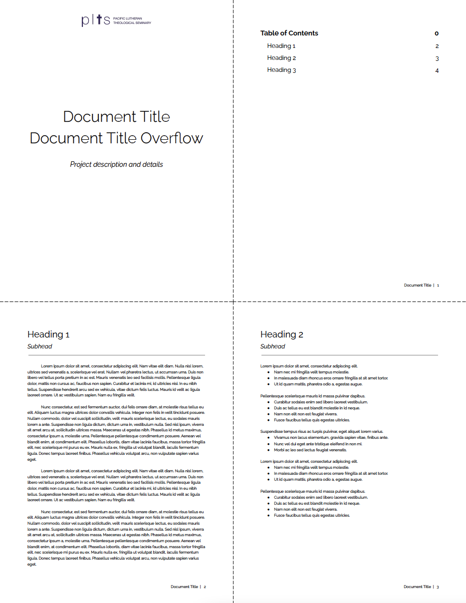 Long document for PLTS