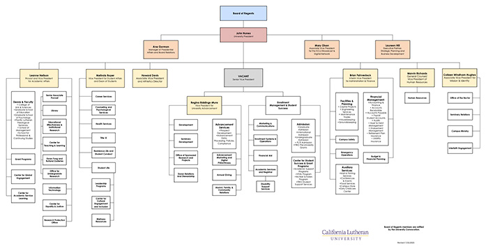 University Organizational Chart preview