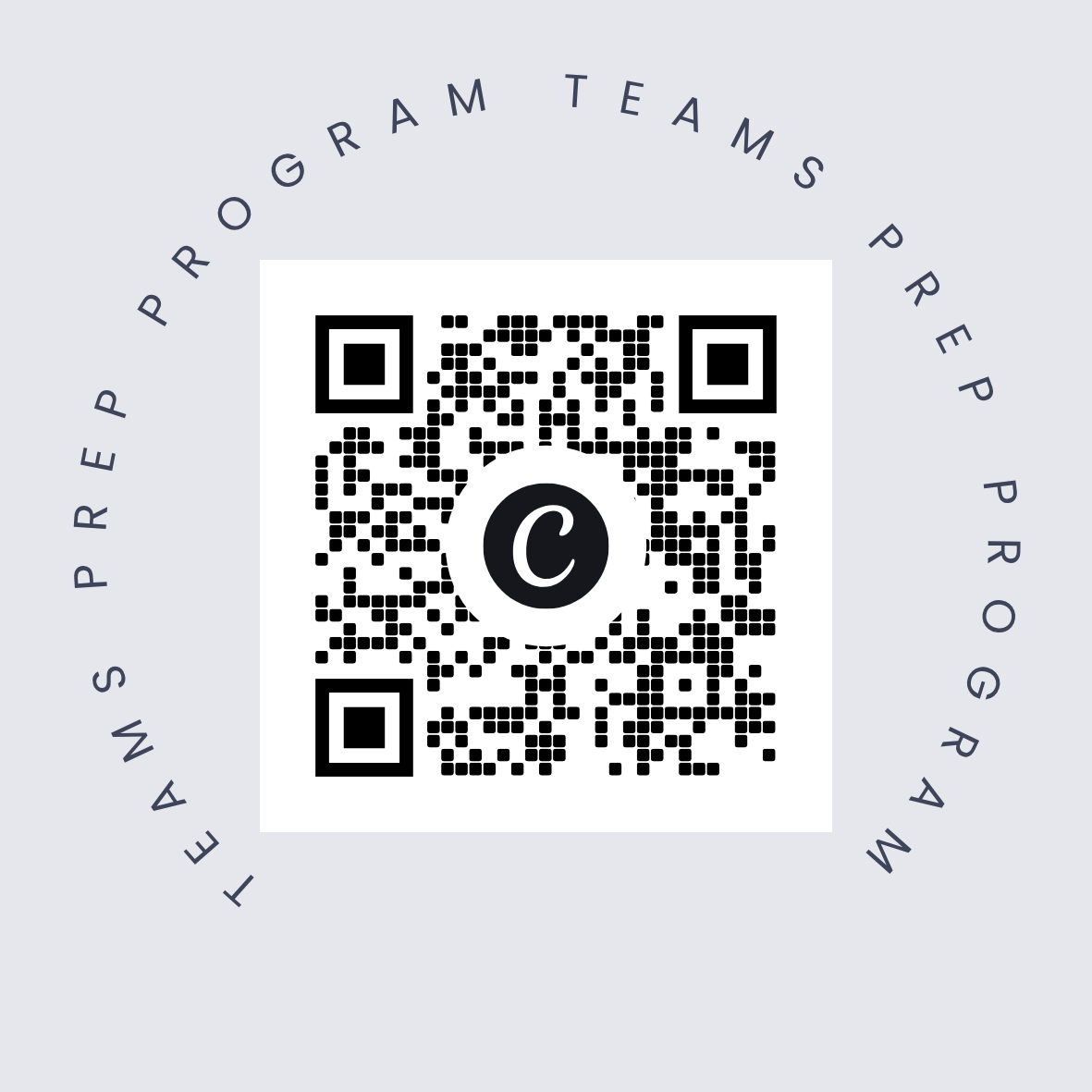 TEAM QR Code